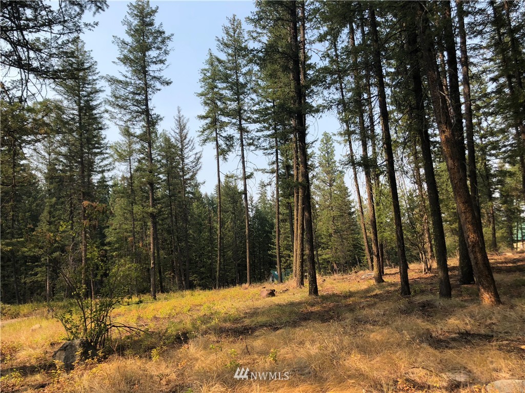 147 Yellowleaf Road Winthrop, WA 98862 - Photo 11 of 27 Gallery Image 11