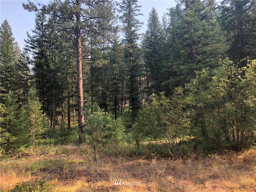 147 Yellowleaf Road Winthrop, WA 98862 - Photo 13 of 27 Gallery Image 13