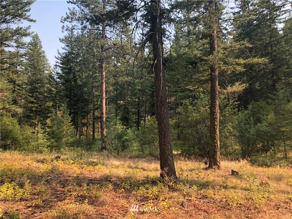147 Yellowleaf Road Winthrop, WA 98862 - Photo 15 of 27 Gallery Image 15