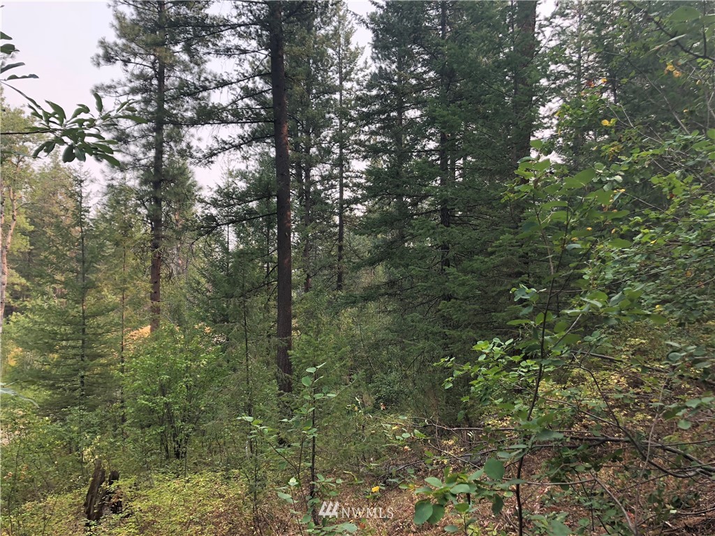 147 Yellowleaf Road Winthrop, WA 98862 - Photo 16 of 27 Gallery Image 16