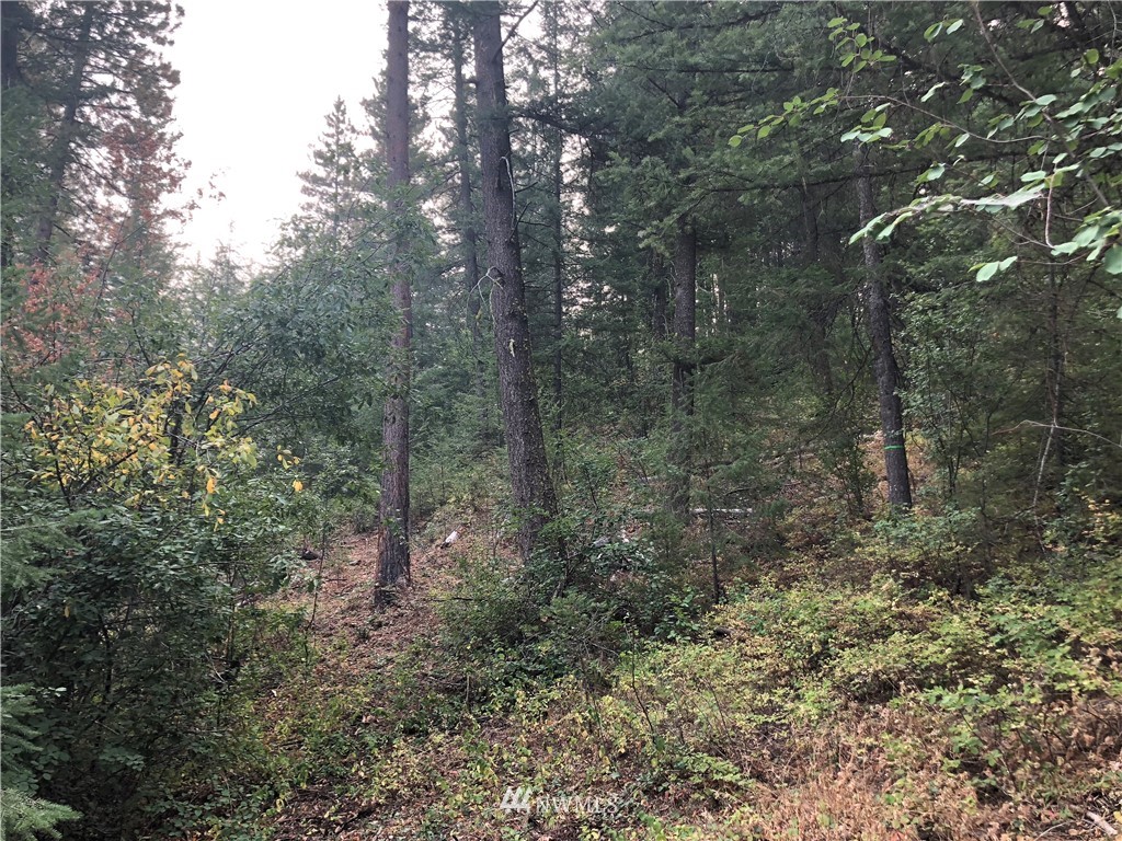 147 Yellowleaf Road Winthrop, WA 98862 - Photo 17 of 27 Gallery Image 17