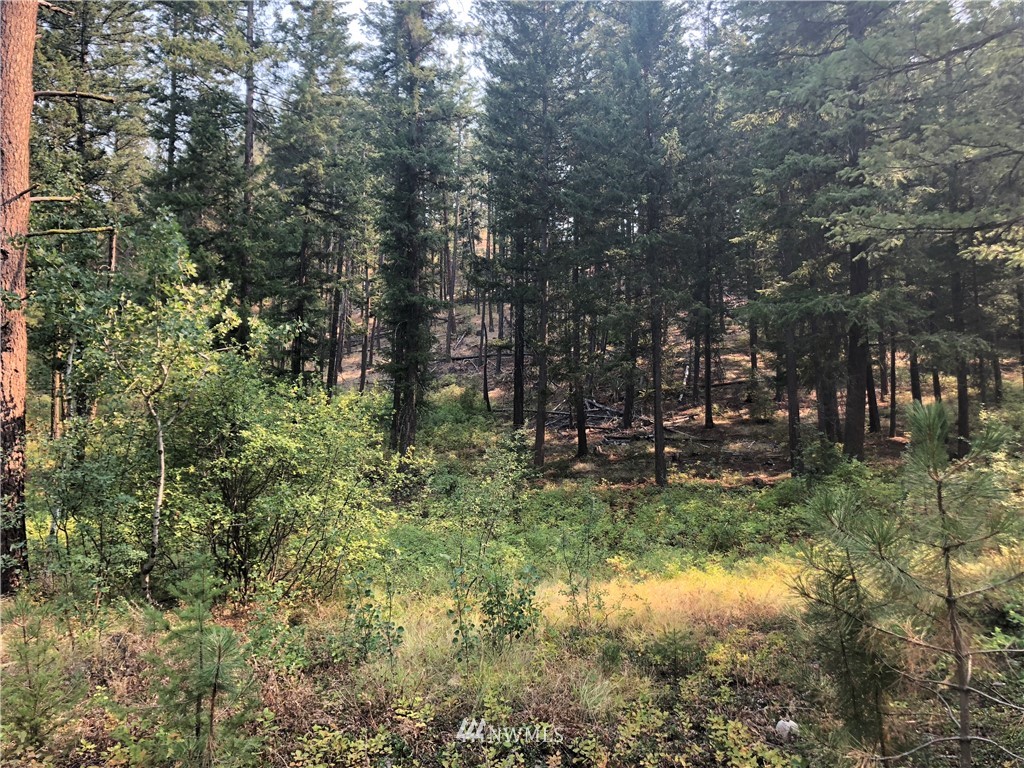 147 Yellowleaf Road Winthrop, WA 98862 - Photo 18 of 27 Gallery Image 18