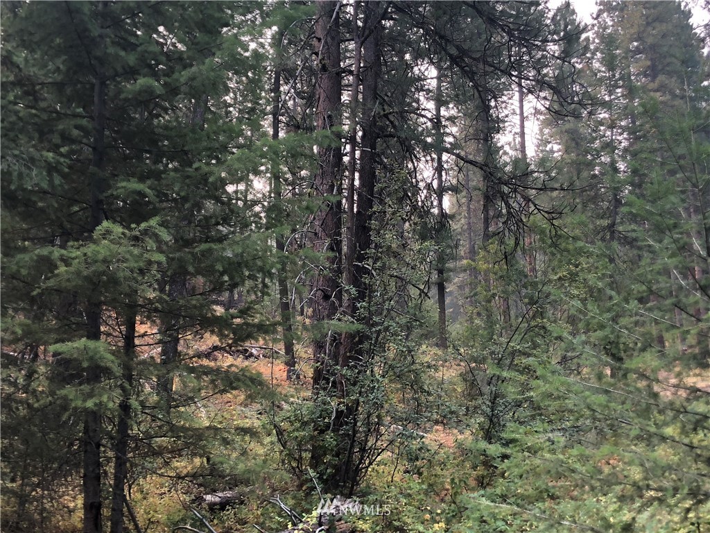 147 Yellowleaf Road Winthrop, WA 98862 - Photo 19 of 27 Gallery Image 19
