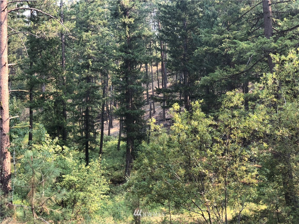 147 Yellowleaf Road Winthrop, WA 98862 - Photo 20 of 27 Gallery Image 20