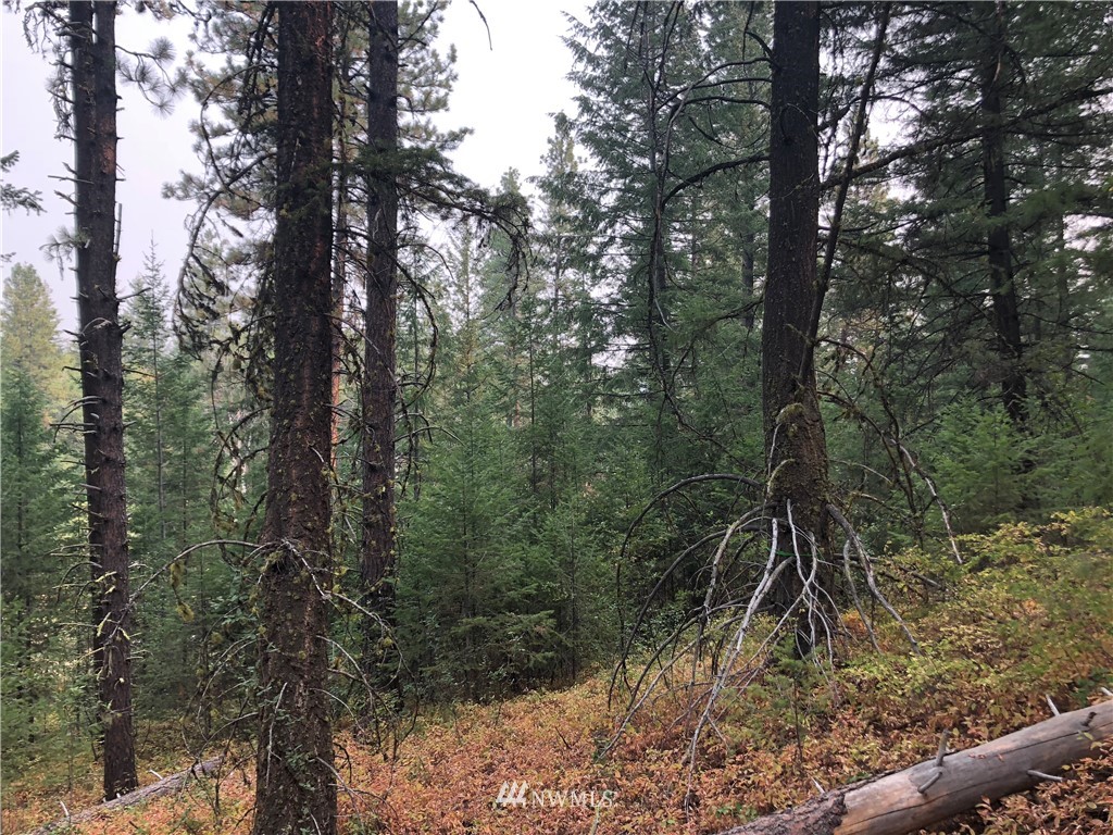 147 Yellowleaf Road Winthrop, WA 98862 - Photo 21 of 27 Gallery Image 21