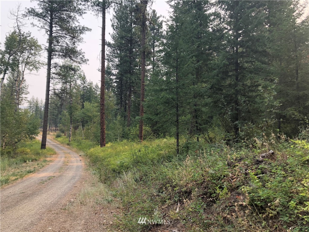 147 Yellowleaf Road Winthrop, WA 98862 - Photo 22 of 27 Gallery Image 22