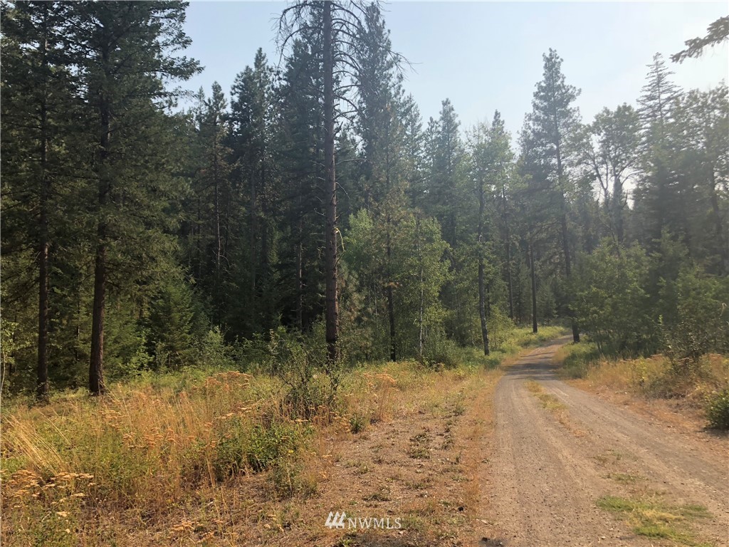 147 Yellowleaf Road Winthrop, WA 98862 - Photo 23 of 27 Gallery Image 23