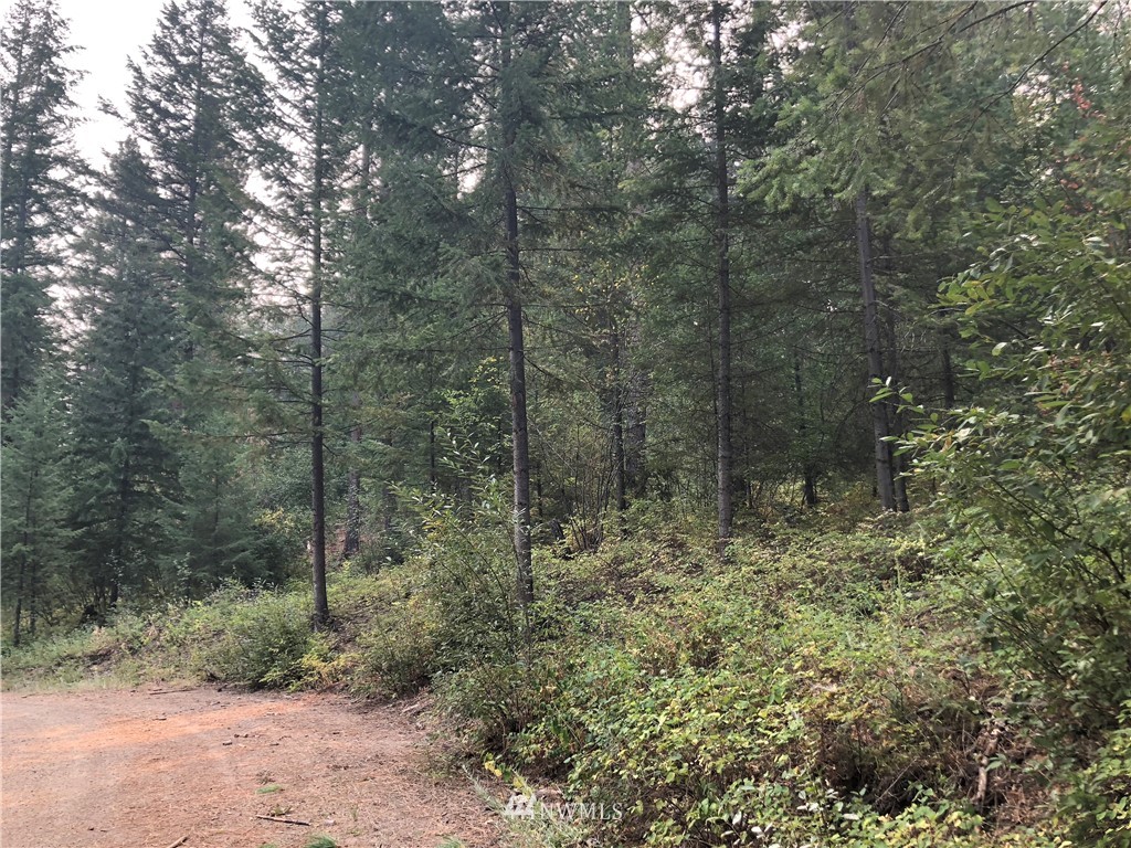 147 Yellowleaf Road Winthrop, WA 98862 - Photo 24 of 27 Gallery Image 24