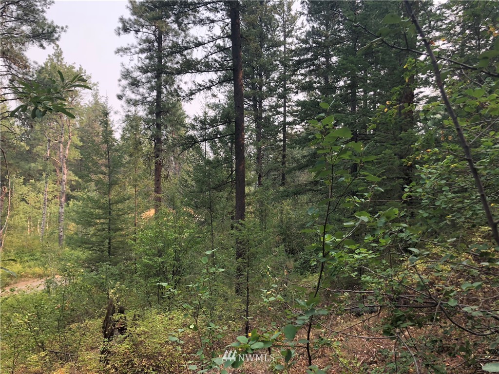 147 Yellowleaf Road Winthrop, WA 98862 - Photo 25 of 27 Gallery Image 25