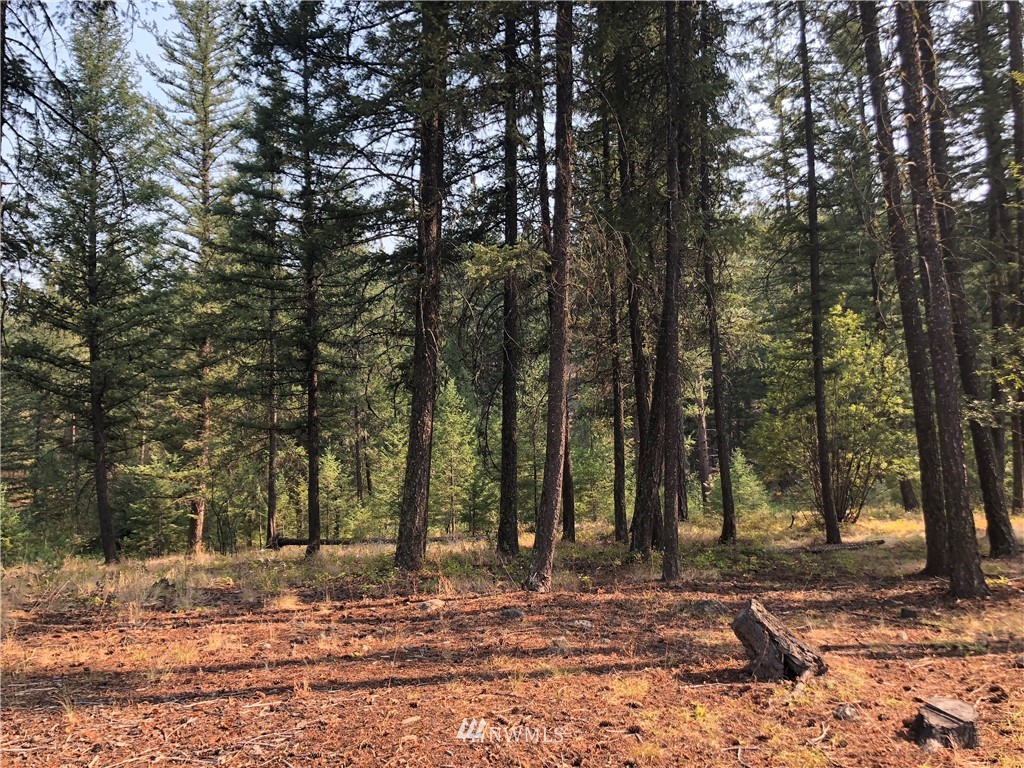 147 Yellowleaf Road Winthrop, WA 98862 - Photo 4 of 27 Gallery Image 4