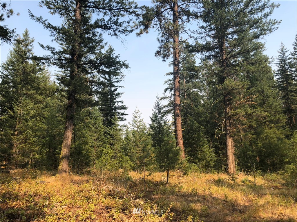 147 Yellowleaf Road Winthrop, WA 98862 - Photo 7 of 27 Gallery Image 7
