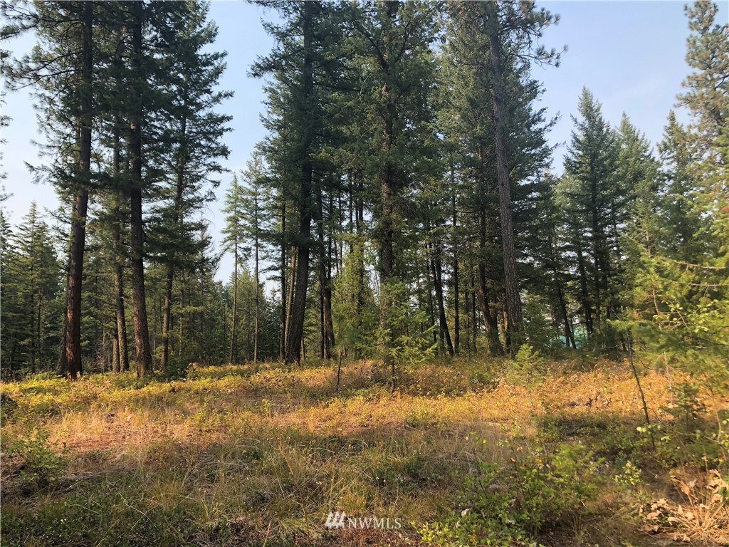 147 Yellowleaf Road Winthrop, WA 98862 - Photo 8 of 27 Gallery Image 8