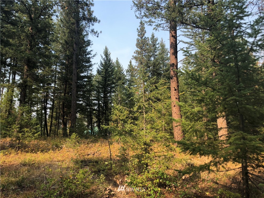 147 Yellowleaf Road Winthrop, WA 98862 - Photo 10 of 27 Gallery Image 10
