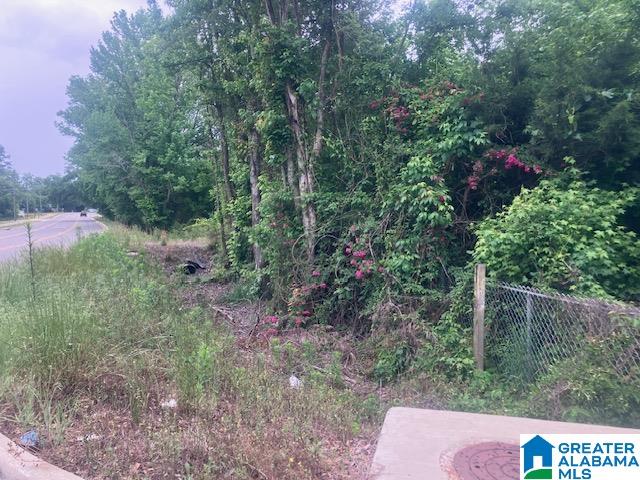 3115 Eddins Road Tuscaloosa, AL 35401 - Photo 25 of 25