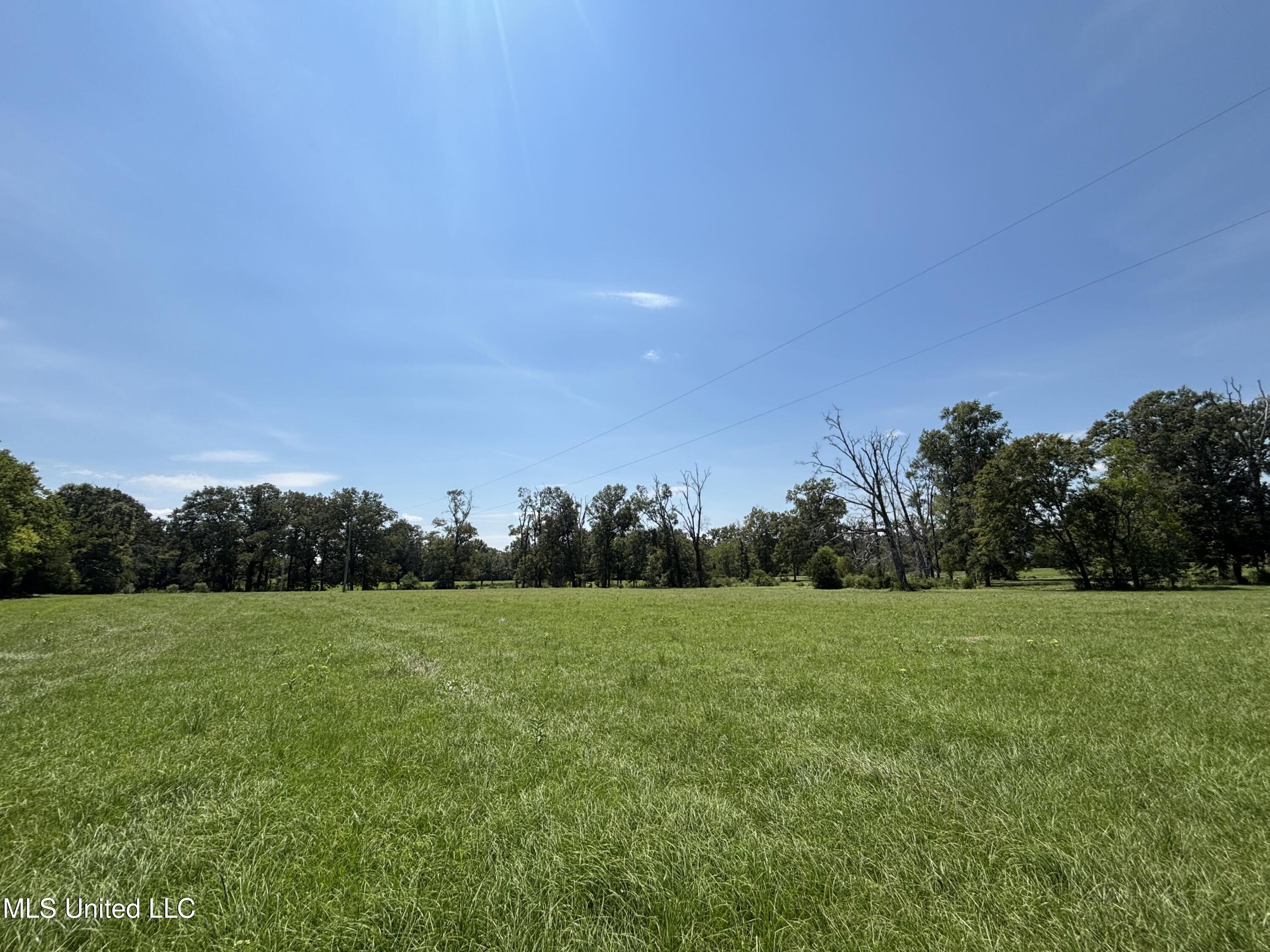 Baker Lane Lane Brandon, MS 39047 - Photo 2 of 12 IMG_9583