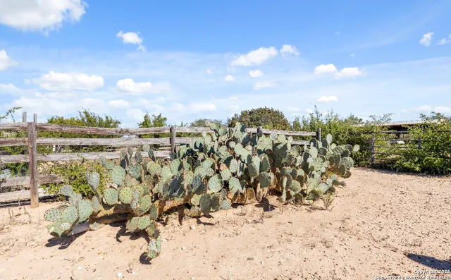 a view of an outdoor space with yard