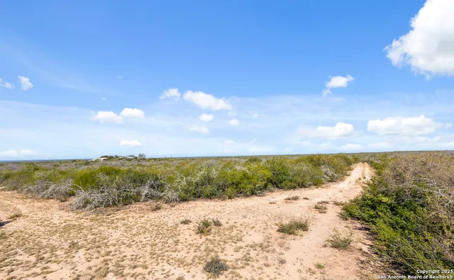 a view of swimming pool from a window