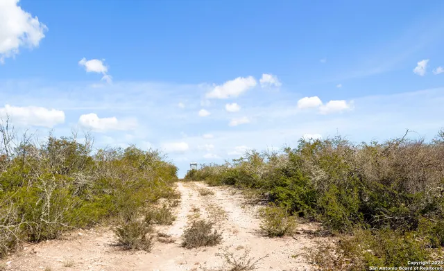 a view of a snow on a beach
