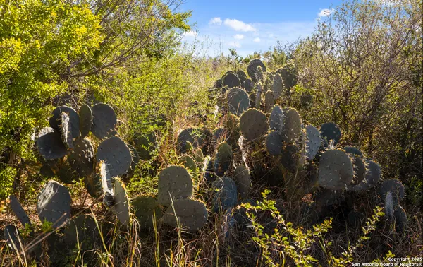 $720,000 | 2198 Cr 653 Devine Tx 78016, Devine, TX 78016