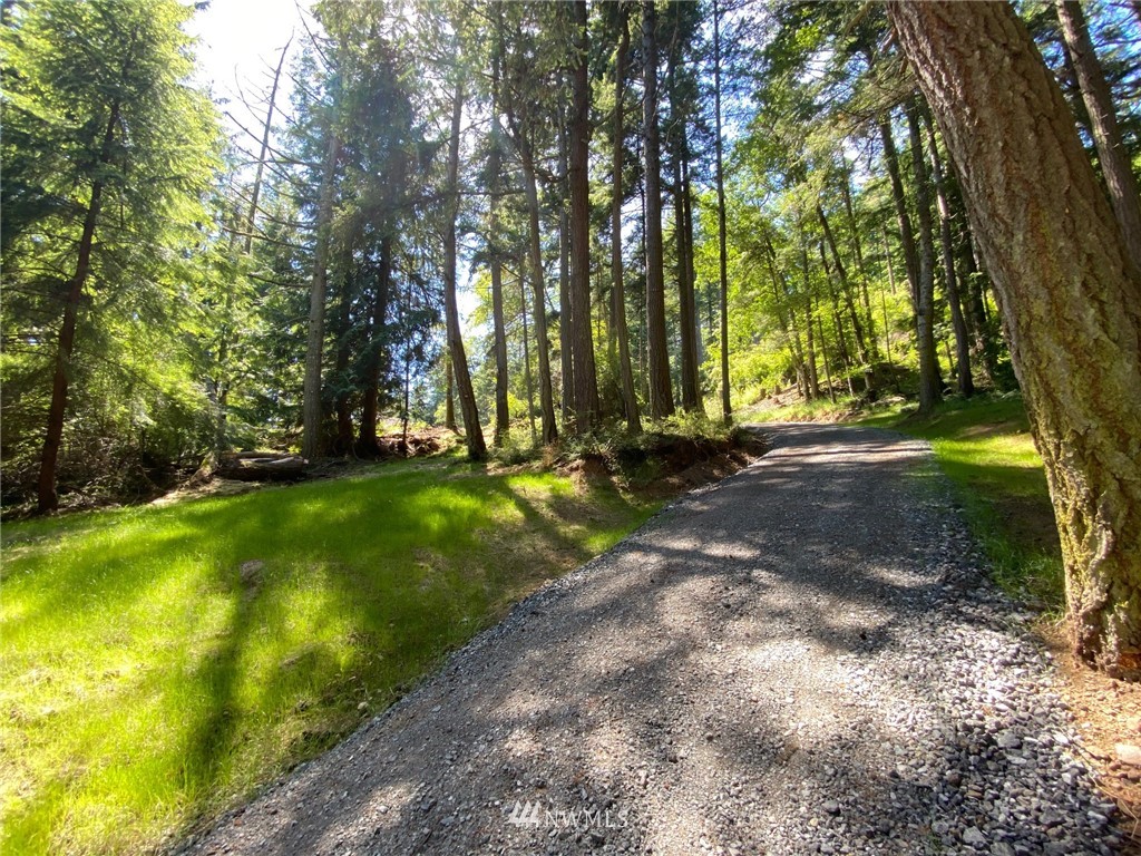65 Roehl's Hill Road Orcas Island, WA 98279 - Photo 8 of 20 Gallery Image 8