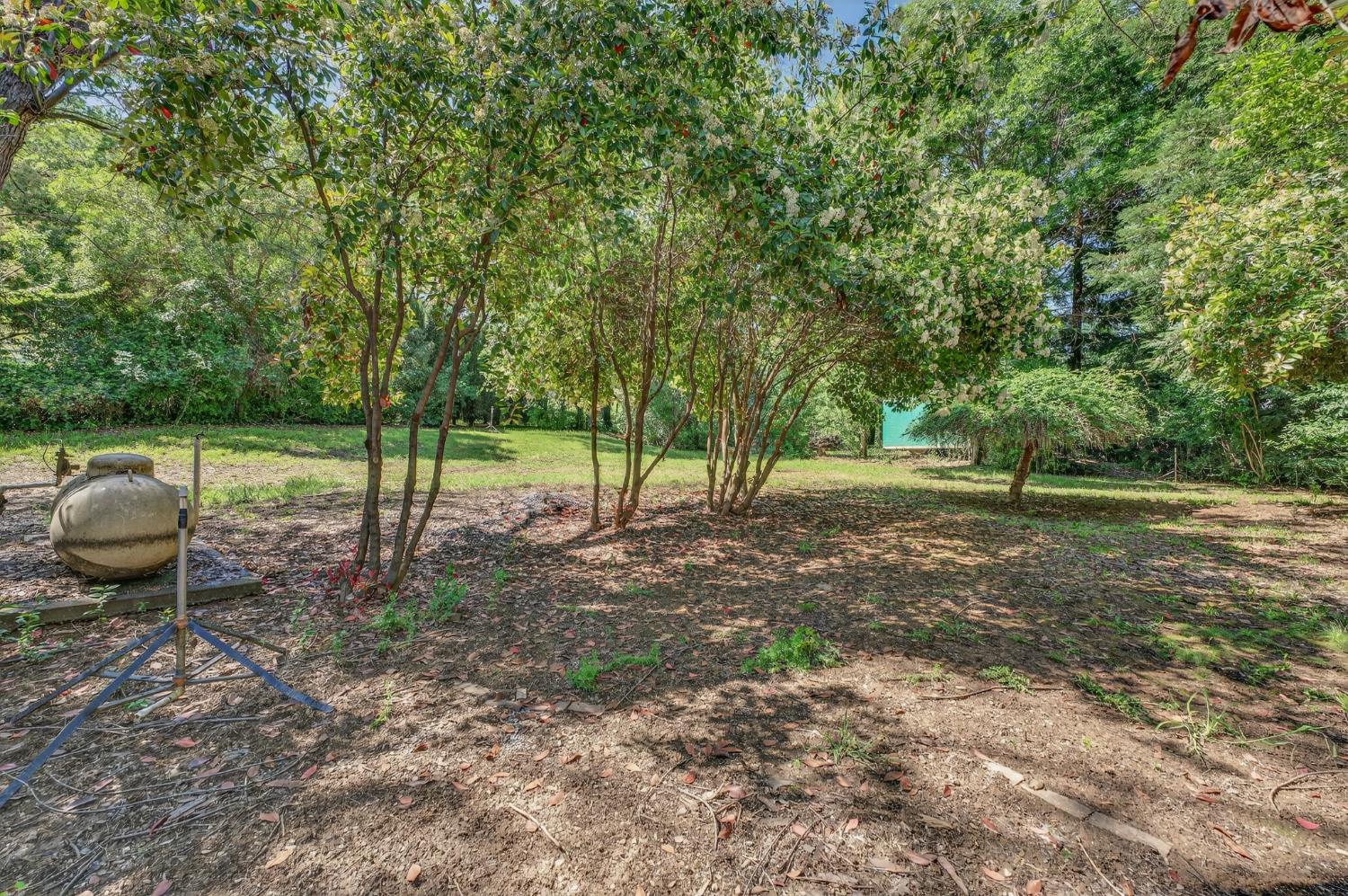 10665 Mt Vernon Road Auburn, CA 95603 - Photo 17 of 45 a view of a field with sitting area