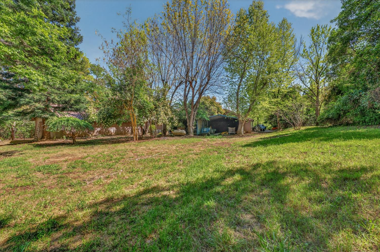 10665 Mt Vernon Road Auburn, CA 95603 - Photo 18 of 45 a view of yard with green space