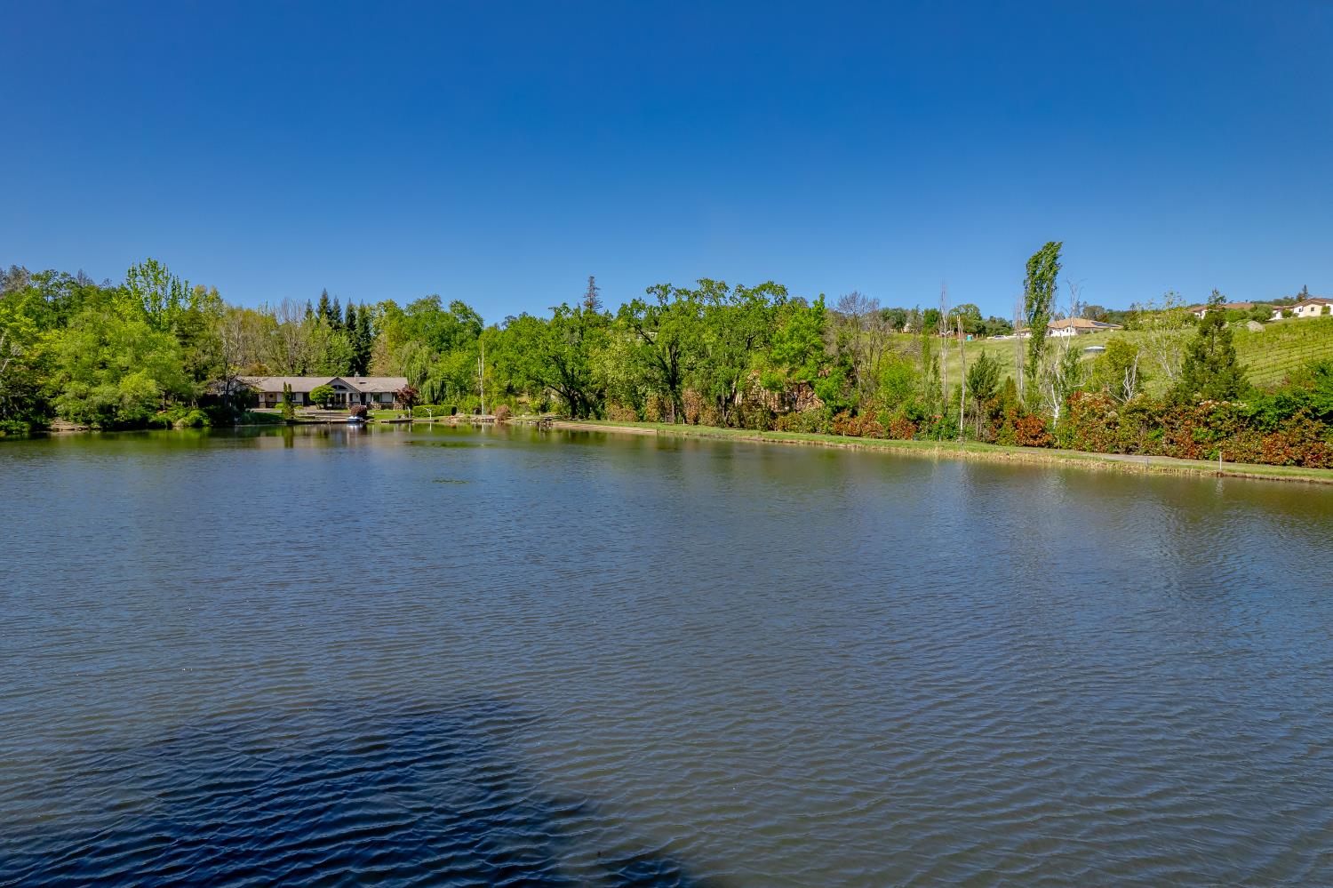 10665 Mt Vernon Road Auburn, CA 95603 - Photo 8 of 45 a view of a lake with houses in the background