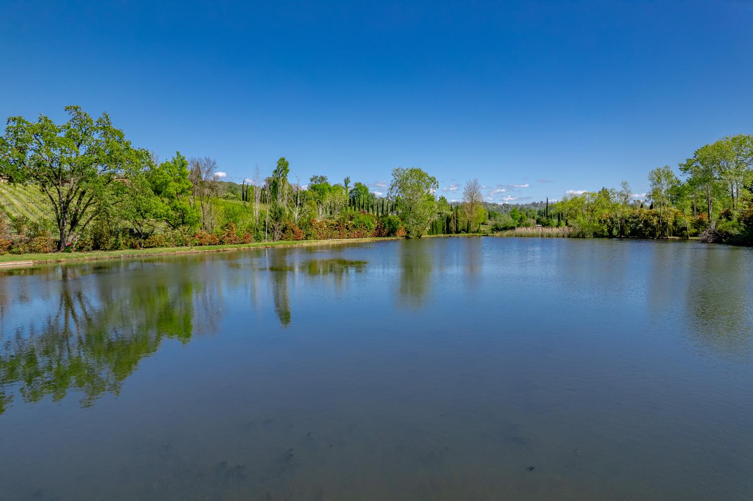 10665 Mt Vernon Road Auburn, CA 95603 - Photo 9 of 45 a view of a lake with a lake