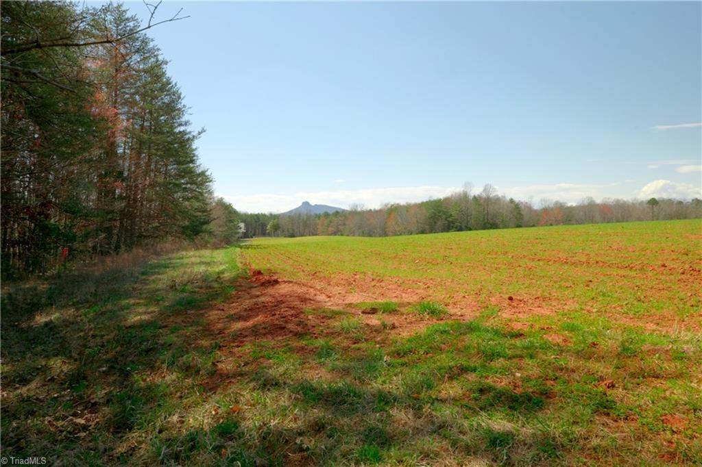 4 Old Mill Road Pinnacle, NC 27043 - Photo 3 of 19 Gallery Image 3