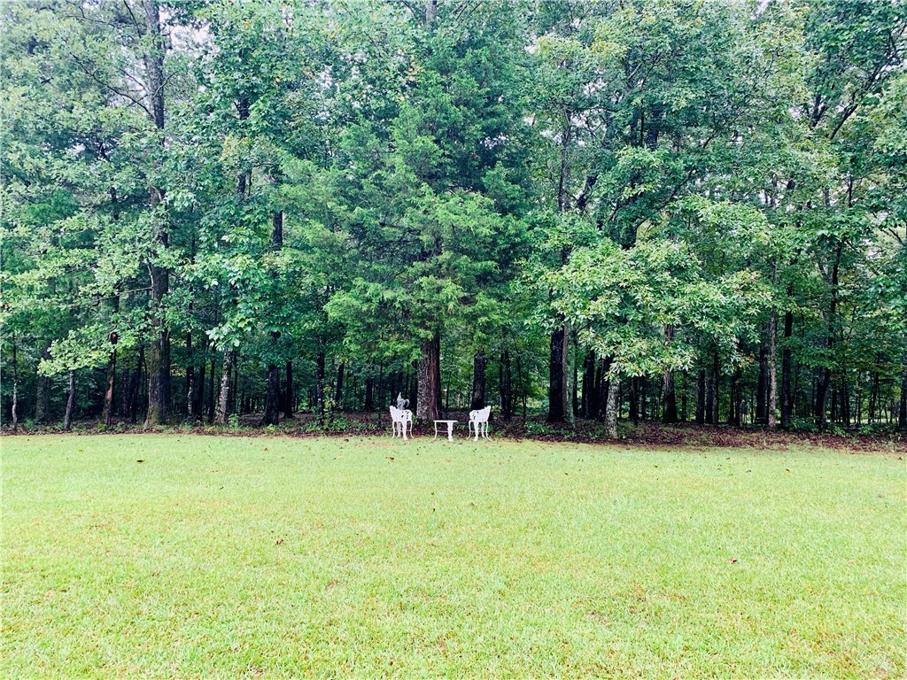 1578 Horseshoe Road Iva, SC 29655 - Photo 40 of 47 Gallery Image 40