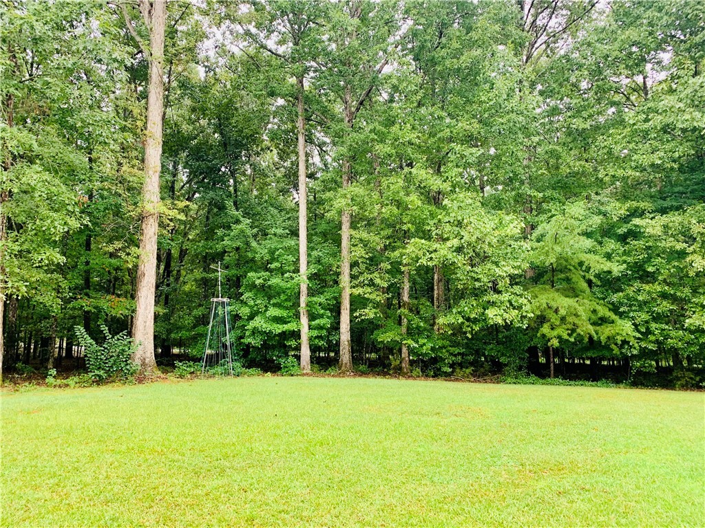 1578 Horseshoe Road Iva, SC 29655 - Photo 41 of 47 Gallery Image 41