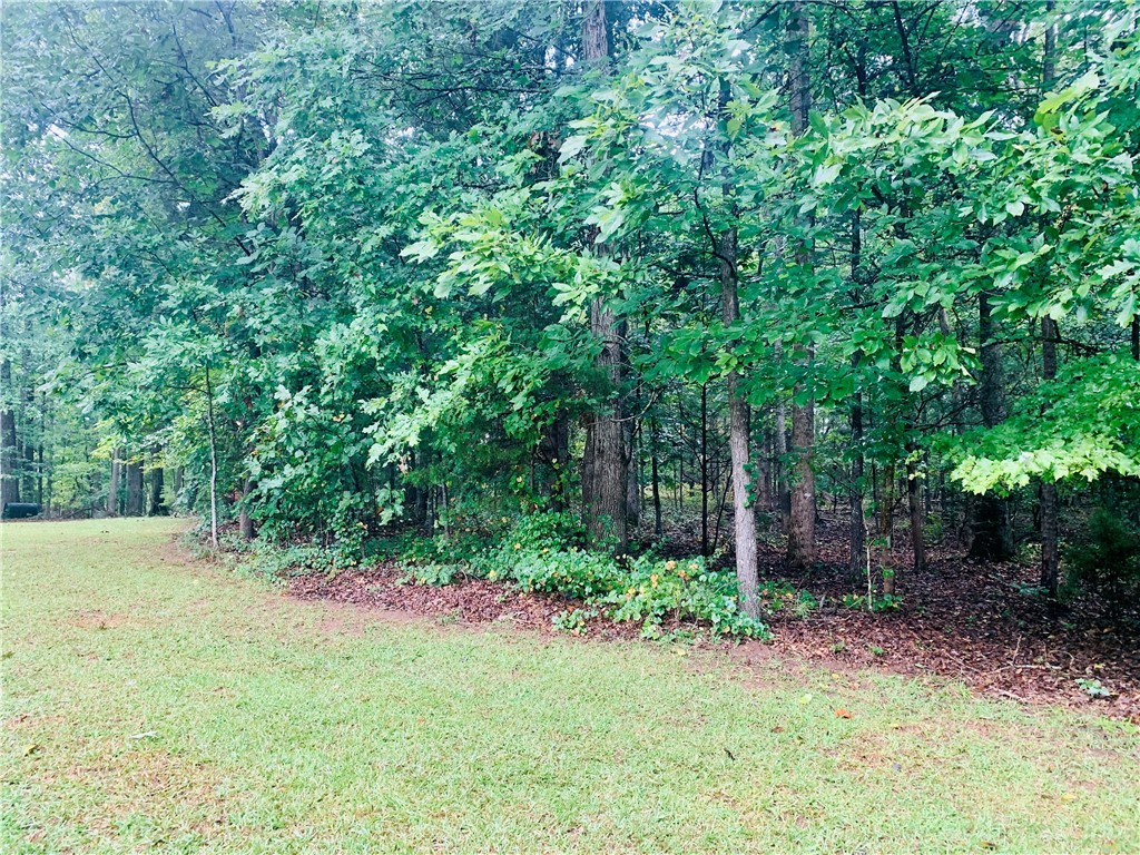 1578 Horseshoe Road Iva, SC 29655 - Photo 47 of 47 BACKYARD