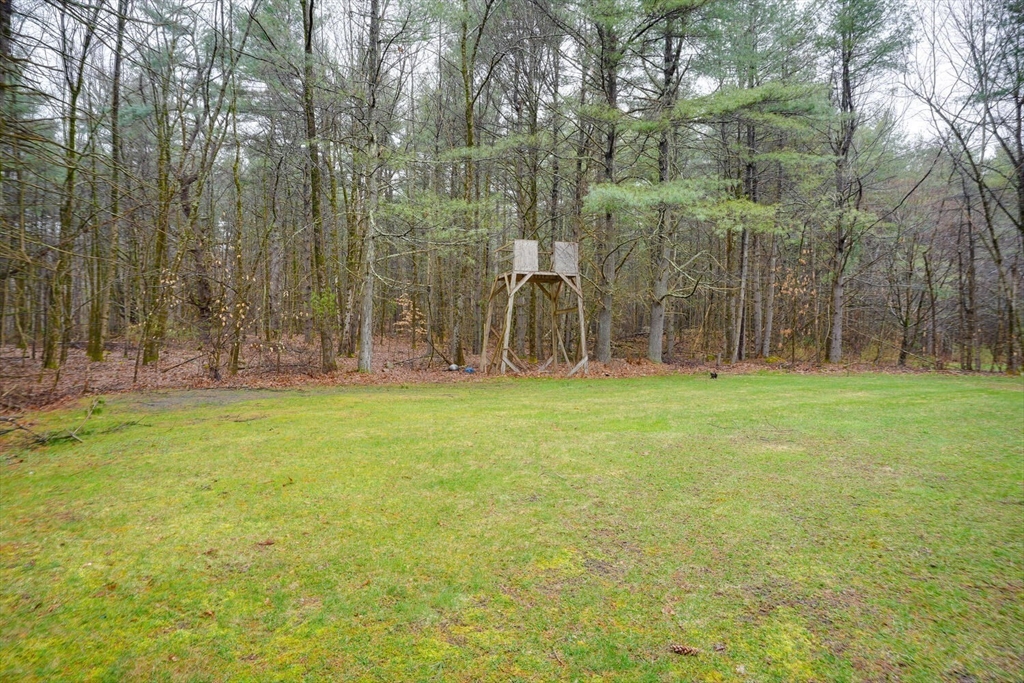 60 Coal Kiln Road Princeton, MA 01541 - Photo 31 of 31 a backyard of apartments with large trees