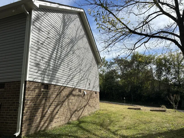 a view of a yard with a tree