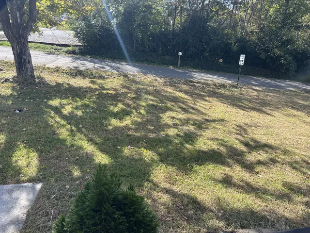 a view of yard with tree