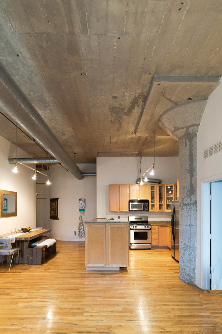 17 North Loomis Street, Unit 2H Chicago, IL 60607 - Photo 3 of 19