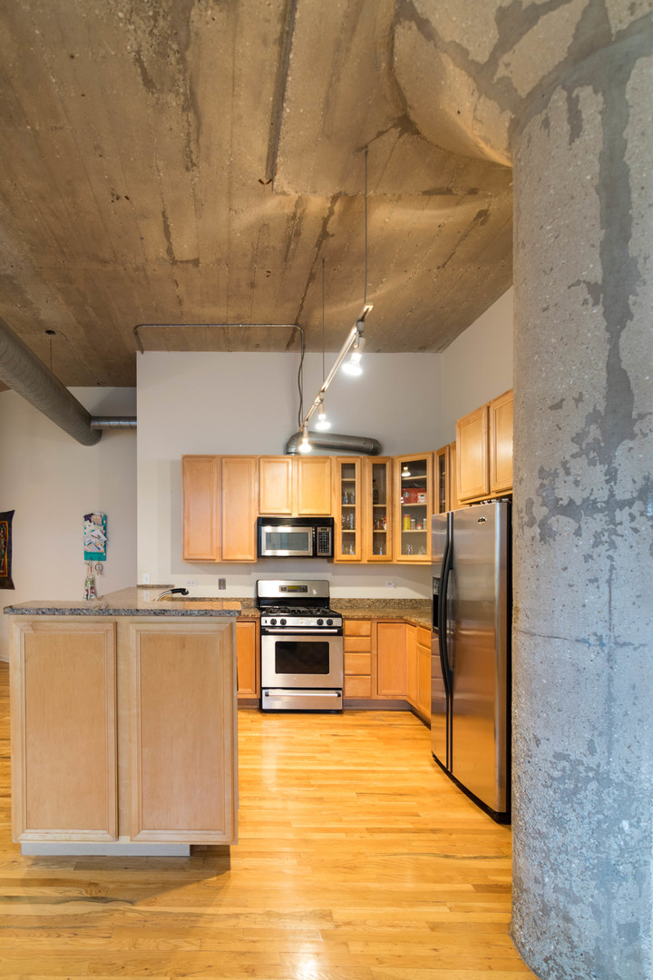 17 North Loomis Street, Unit 2H Chicago, IL 60607 - Photo 5 of 19