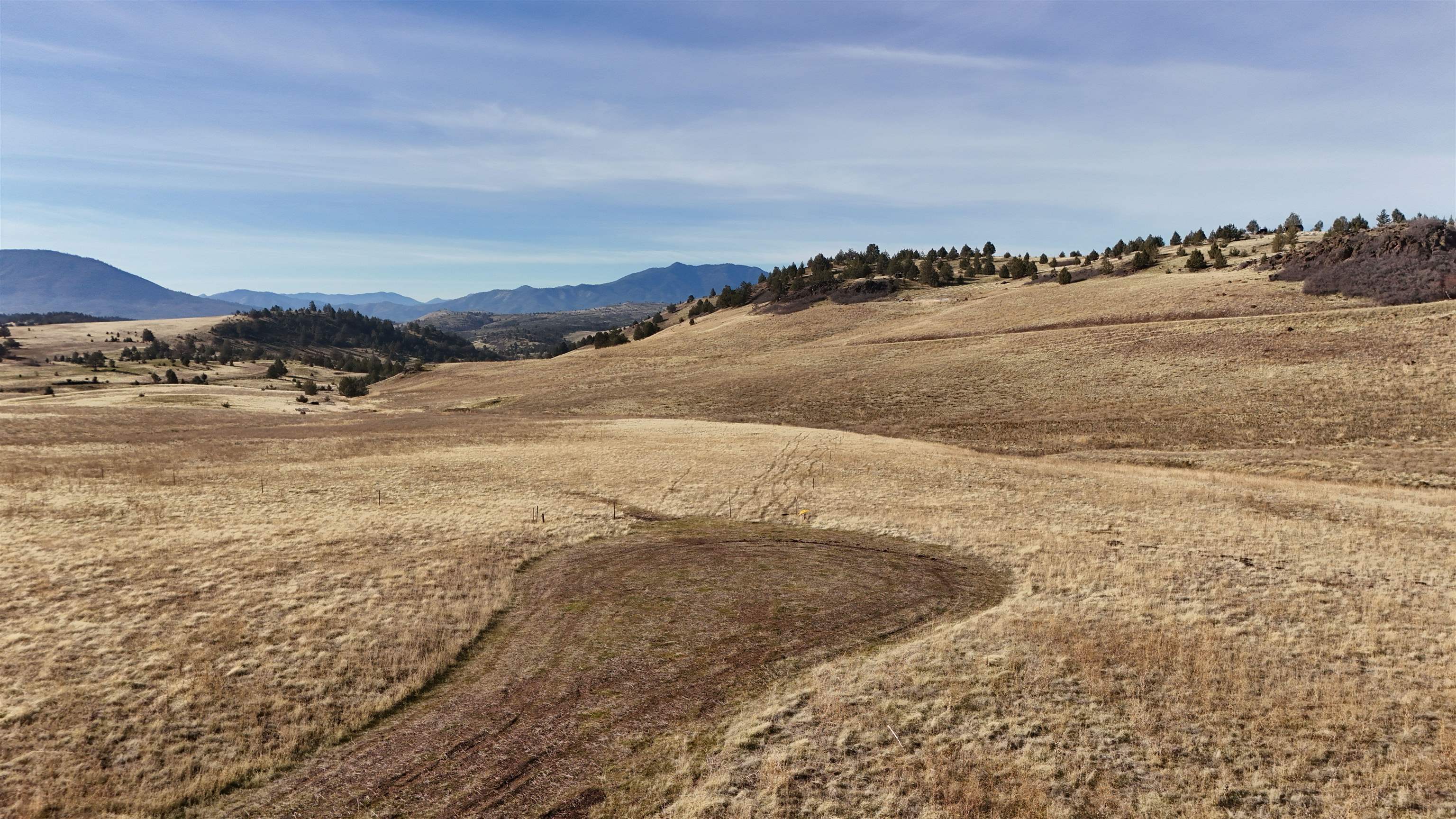21 Lookout Road Hornbrook, CA 96044 - Photo 4 of 5 Gallery Image 4