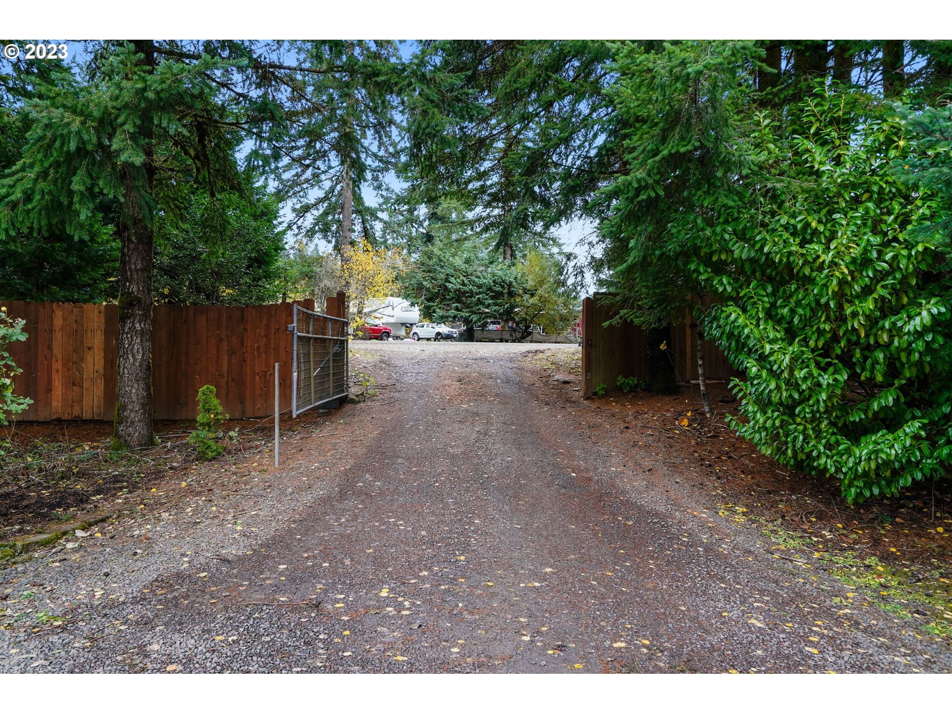 54795 Southwest Hebo Road Grand Ronde, OR 97347 - Photo 2 of 41 a view of a backyard with large trees and plants