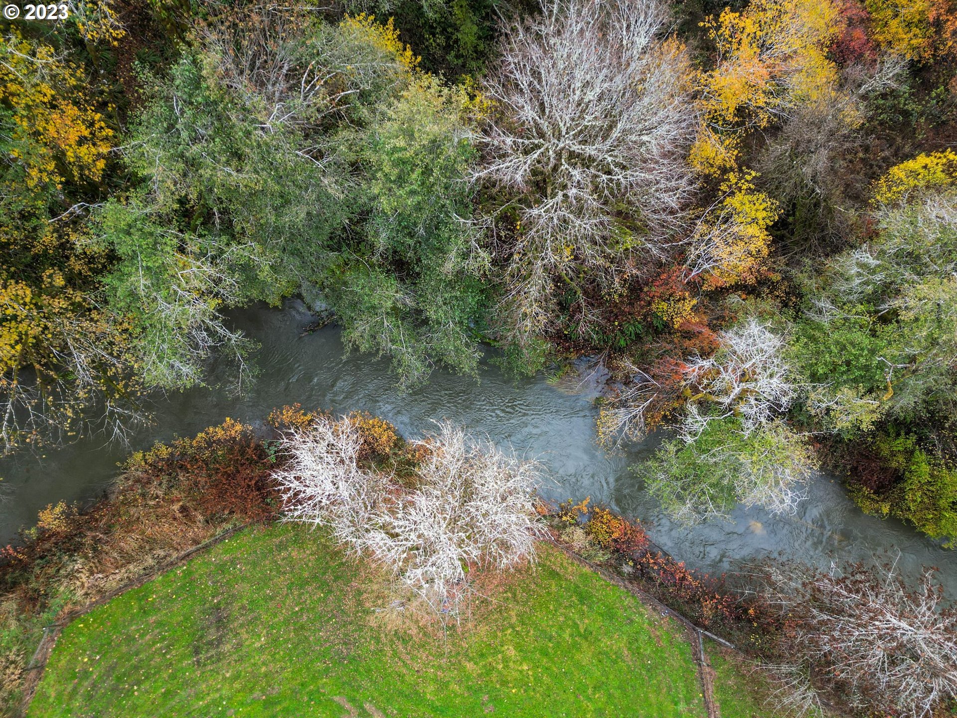 54795 Southwest Hebo Road Grand Ronde, OR 97347 - Photo 41 of 41 a view of a lake with a forest