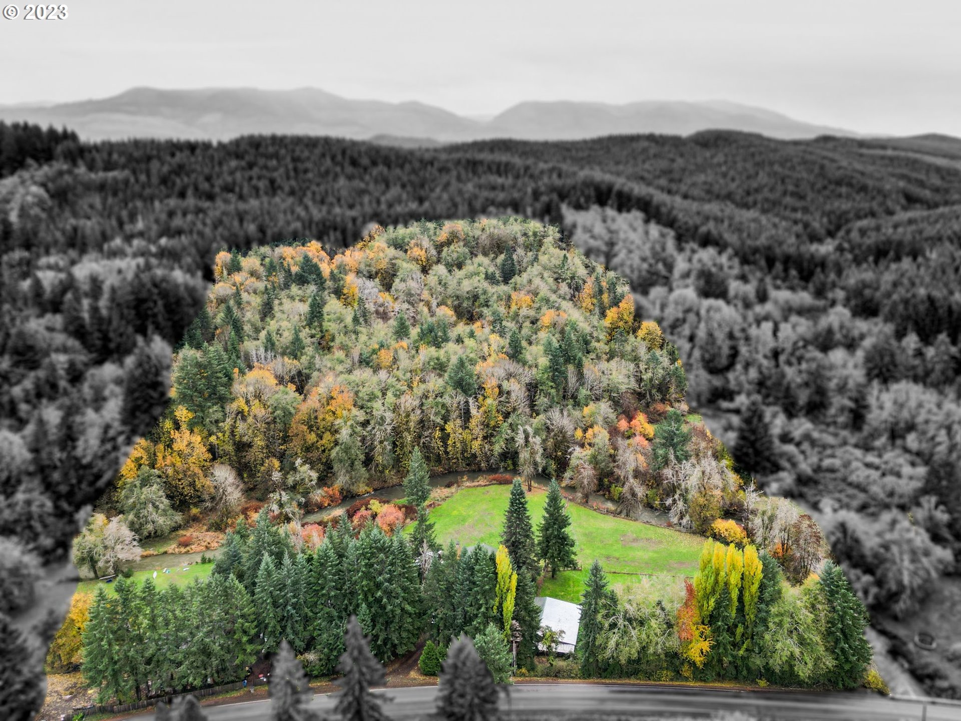 54795 Southwest Hebo Road Grand Ronde, OR 97347 - Photo 5 of 41 an aerial view of houses covered in trees
