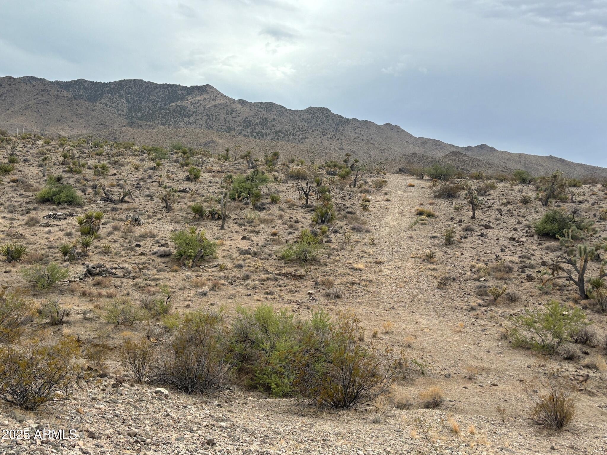 0 North Mohave Drive, Unit 48 Dolan Springs, AZ 86441 - Photo 1 of 14 a view of a dry field with mountains in the background
