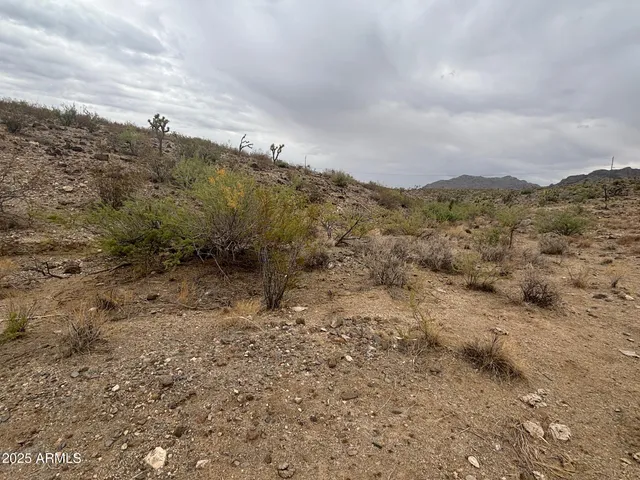 a view of a large mountain in the distance in a field