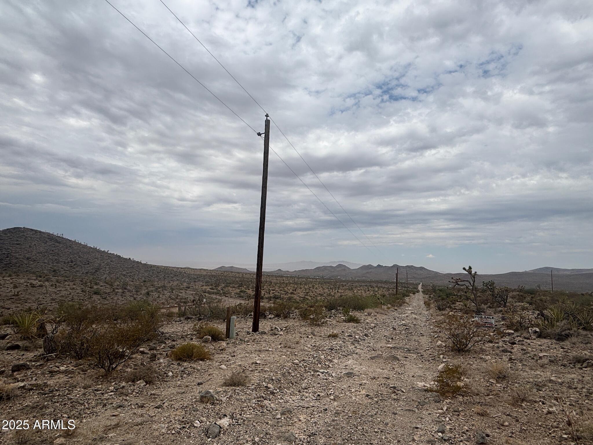 0 North Mohave Drive, Unit 48 Dolan Springs, AZ 86441 - Photo 6 of 14 a view of a beach with a tree in the background