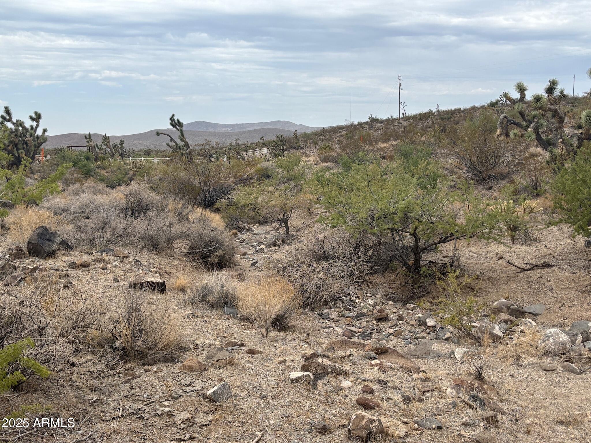 0 North Mohave Drive, Unit 48 Dolan Springs, AZ 86441 - Photo 7 of 14 a view of a dry field