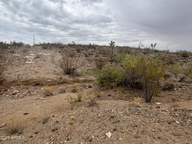 a view of a dry field with trees in the background