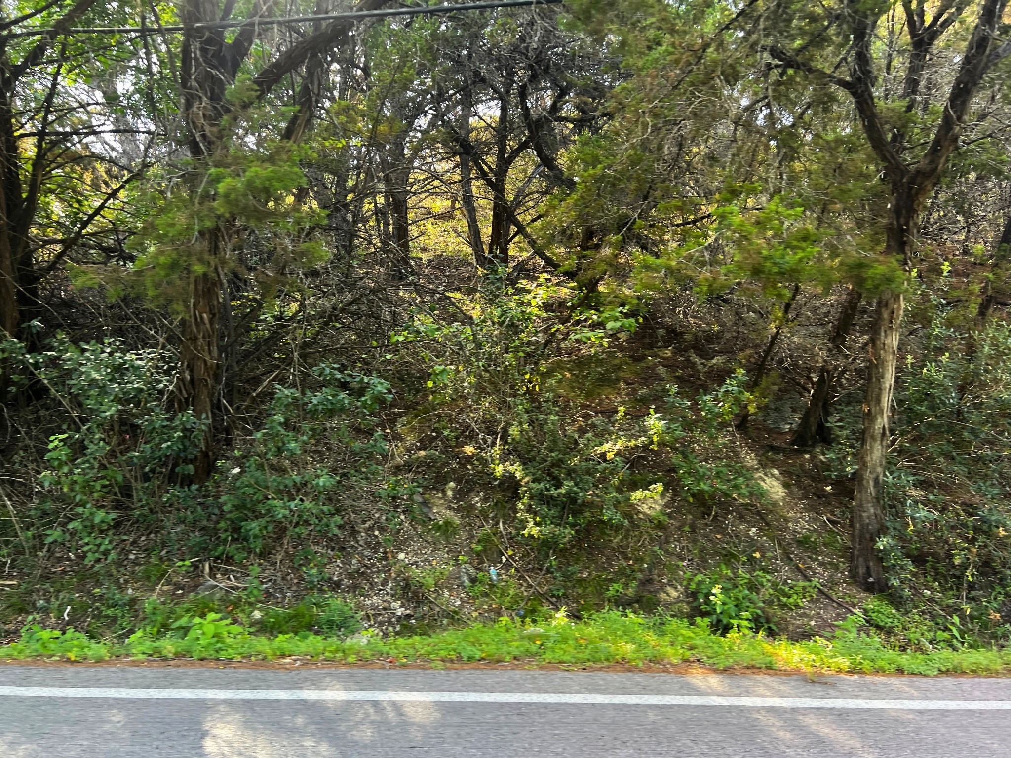 4500 Outpost Trace Leander, TX 78645 - Photo 10 of 13 Mature trees and abundant natural growth define this spacious, secluded lot.