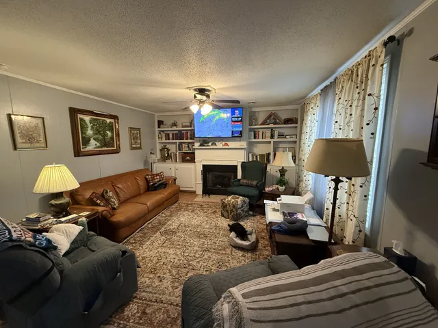 a living room with furniture a rug and a fireplace