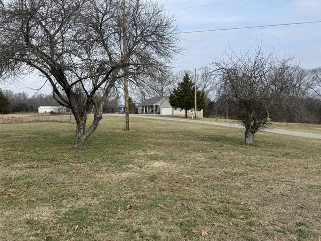 a backyard of a house with lots of green space