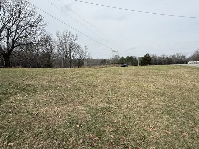 a view of a field with trees in the background
